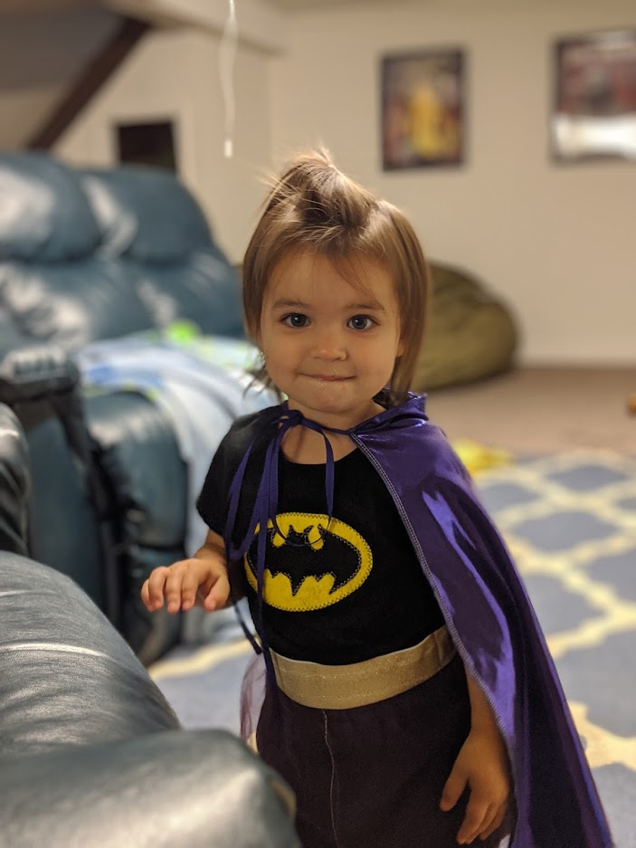 diy batman and robin girl costumes