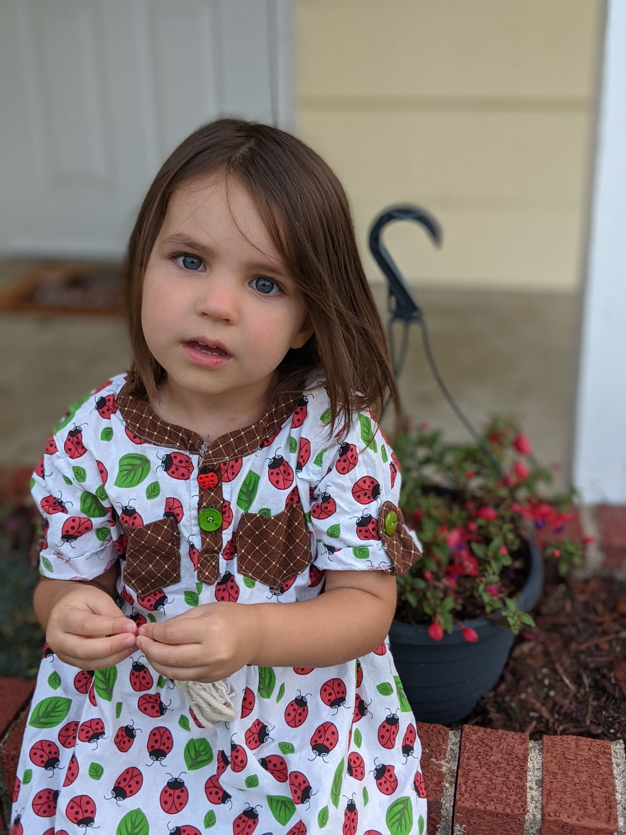 How It Went Cape Cod Dress via Peek a Boo Pattern Shop 